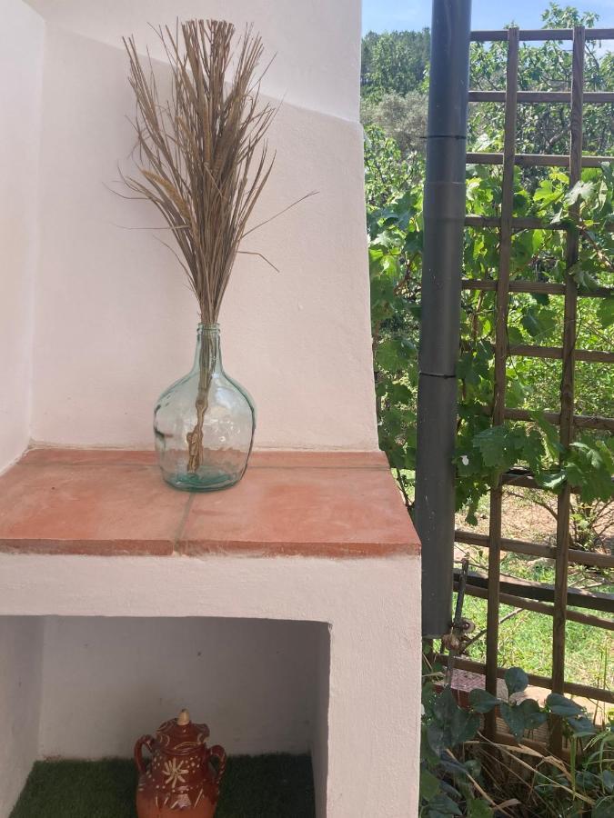 Willa La Casita Fuente del Oro Zewnętrze zdjęcie